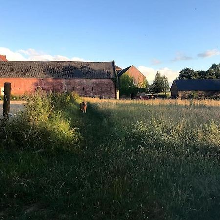 Le Cottage - Maison De 6 A 8 Personnes - La Ferme Du Try Frasnes-lez-Gosselies Екстериор снимка
