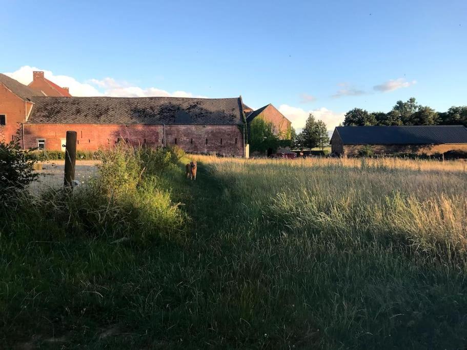 Le Cottage - Maison De 6 A 8 Personnes - La Ferme Du Try Frasnes-lez-Gosselies Екстериор снимка